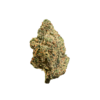 Lemon Bean Flower